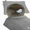 猫比我懂事 的头像