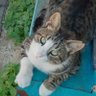 Profilbild von Kevin