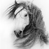 Rıhtıma Varmayan Ceset's profile picture