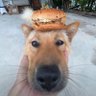 Profilbild von Leo