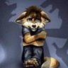 Profilbild von h_ Wolf