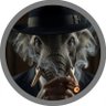 Profilbild von The Elephant in the Room