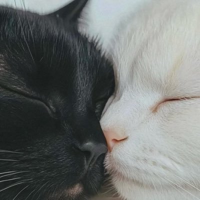 Couple3p4p's profile picture