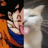 mike 🦈 profil fotoğrafı