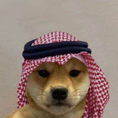 ramonos's profile picture