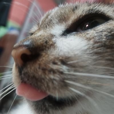 RhianneVar58175's profile picture