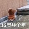 Won O¬O 的头像
