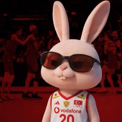 Cygnus 🏐's profile picture
