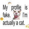 Zoya Kafka 🤍 的头像