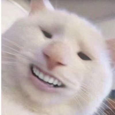 tayniverse_new's profile picture