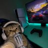 Cora Clips profil fotoğrafı