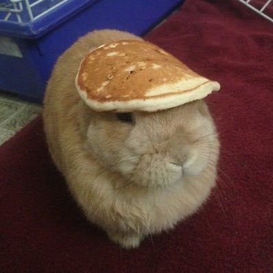 alice's profile picture