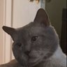 PwNdYoU_ profil fotoğrafı
