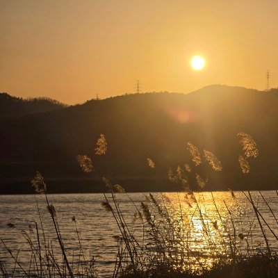 sukoya979's profile picture
