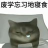 Chuchu 的头像