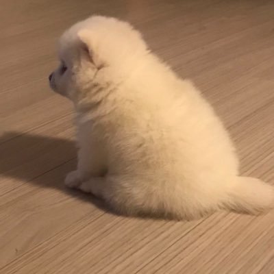 bambi้ 🎀's profile picture