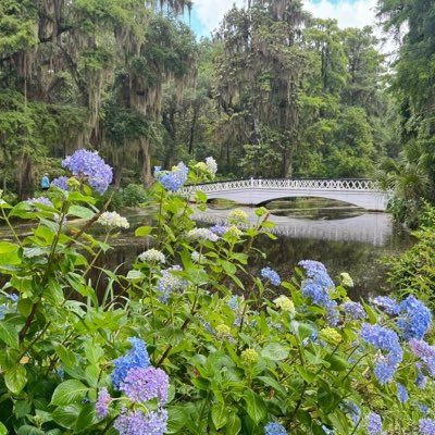 Charleston Daily's profile picture