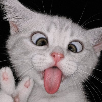LittleP_05's profile picture