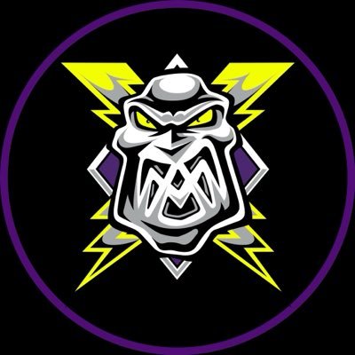Manchester Storm | #Homecoming's profile picture