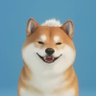 미슈미슈's profile picture