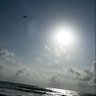Typic(ally)Distinct's profile picture