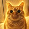 闪电猫|Bsc2.0版本|🐱's profile picture