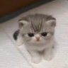 Profilbild von 민니🍮