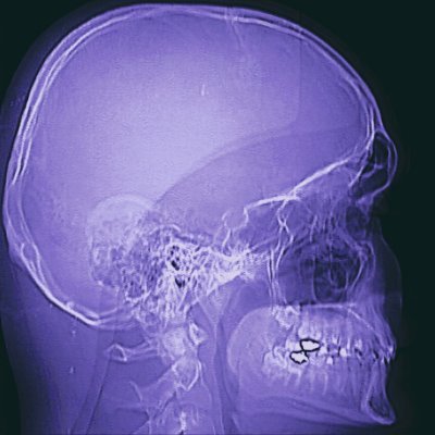 interdisipliner's profile picture