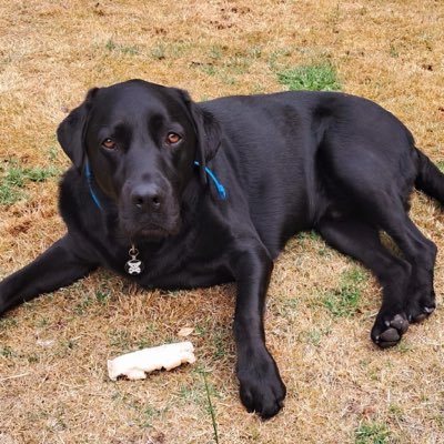 Dan's profile picture