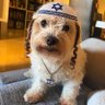 Juanlu's profile picture