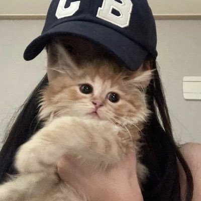 urmcanopus's profile picture