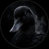 Profilbild von BLACK DUCK
