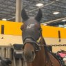 Profilbild von Nancy Takter Stable