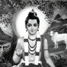 Vaibhav gaonkar | वैभव गावकर profil fotoğrafı