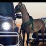 Фото профиля ماجد العتيبي