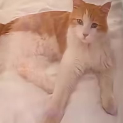 BesttOfAllTime's profile picture