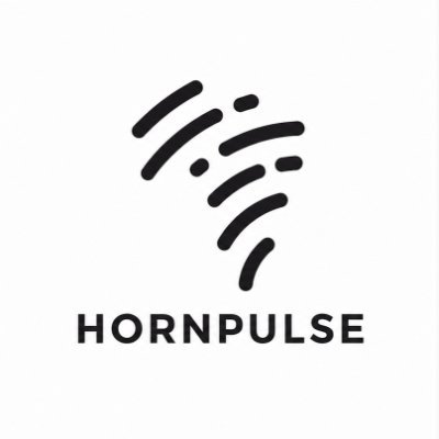 HornPulse's profile picture