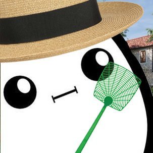bahngeschaedigt's profile picture