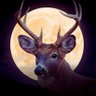 Profilbild von taha Sharf