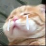จ้านเกอเม่ยเหม่ยอ้ายหนี่ 🎀's profile picture
