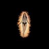Фото профиля sakol EQUILIBRIDADO