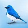 Critico de porra nenhuma profil fotoğrafı