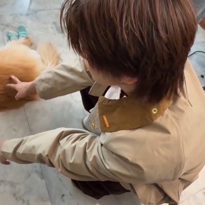 senipich's profile picture