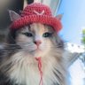 Profilbild von FVCK YOV😺
