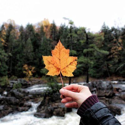 Kashmirupdates9's profile picture