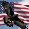 NightHawk's profile picture