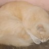 Maiky's profile picture