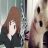 kh profil fotoğrafı