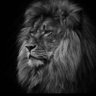 Manzee's profile picture