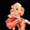 Richard Chapman Monculus profil fotoğrafı